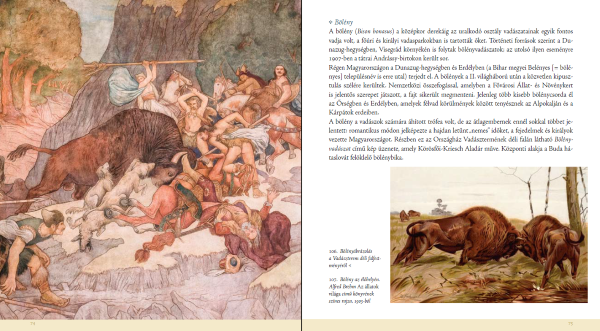 A bölényábrázolást bemutató oldalpár a könyvből.